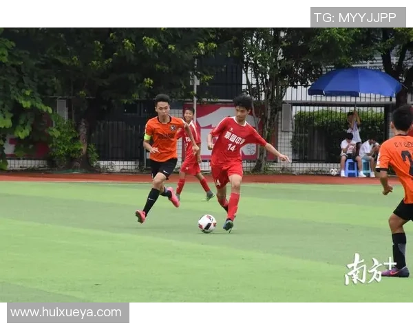 《梦想绿茵场少年足球奇缘从校园到世界杯的成长之路》